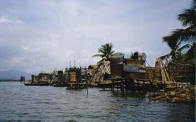 Nargana shoreline